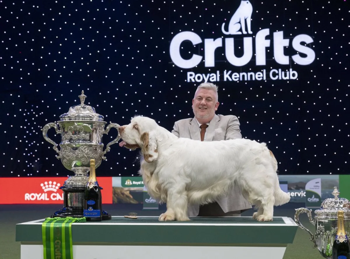 Crufts 2026 Best in Show winner Bruin the Clumber Spaniel
