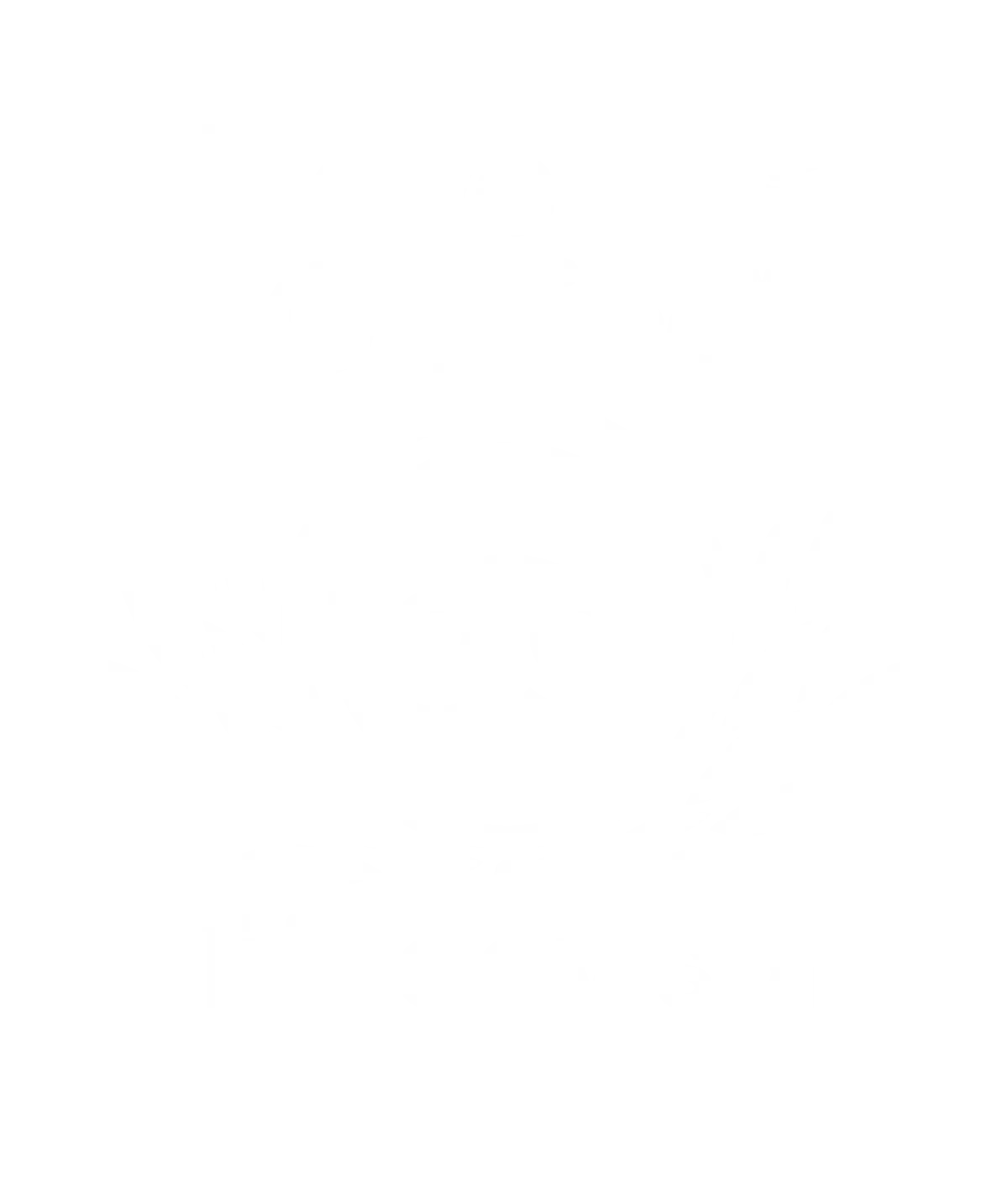 TripAdvisor Travellers' Choice